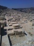 ranks of tombs awaiting Jesus in the Kidron valley